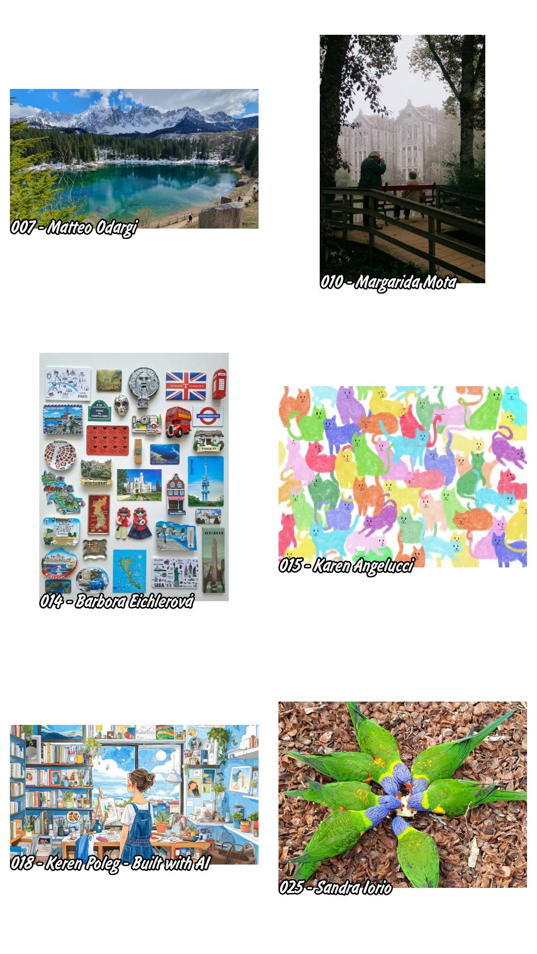 Puzzle finalisti jucari 14 torneo puzzle