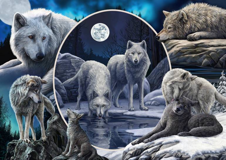 Magnificent wolves - Schmidt - 59666
