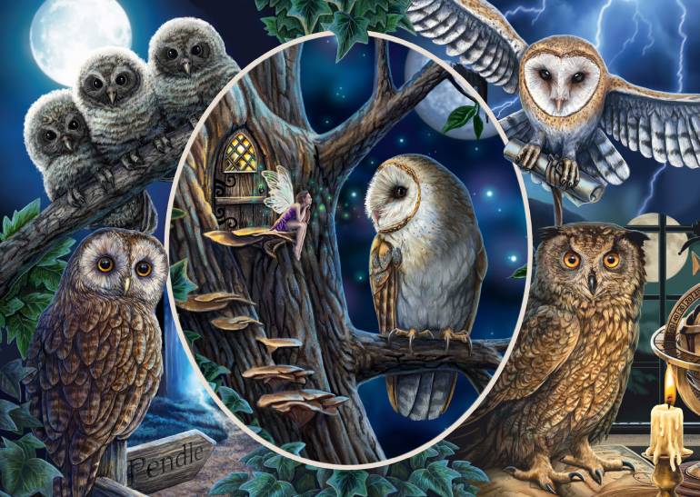 Mysterious owls - Schmidt - 59667