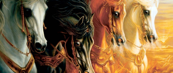 I Cavalli della Anatolian 2021