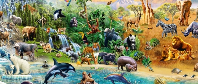 Adrian Chesterman per la Schmidt 2020