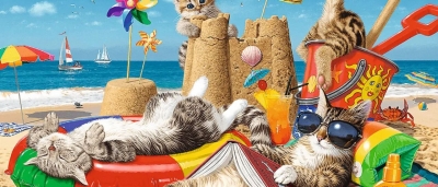 Linea &quot;Hidden Shapes&quot; by Trefl 2023