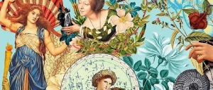 Serie Soft Velvet Touch by Trefl Prime - Unlimited Fit Technology 2023